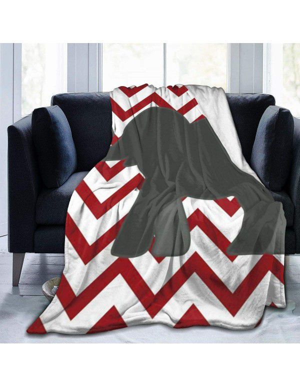 DIY blanket creative autumn and winter warm sofa cover blanket high-definition digital printing double-sided flannel air conditioning blanket