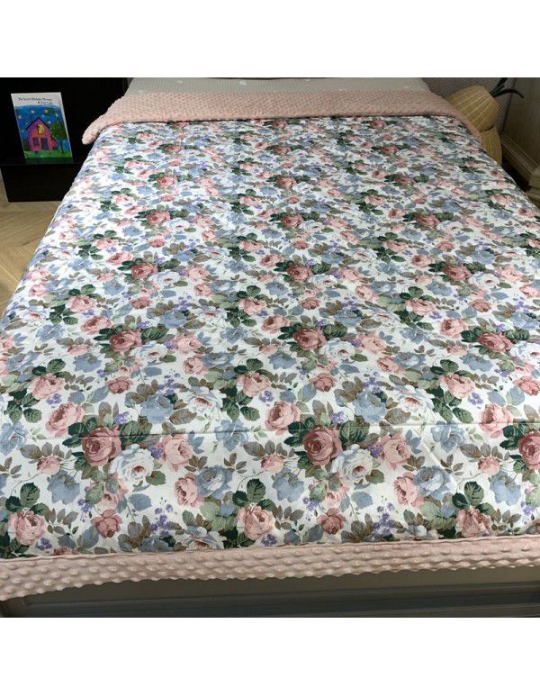 Goose Korean bean blanket winter adult single blanket spring autumn winter quilt cotton soybean fiber winter quilt