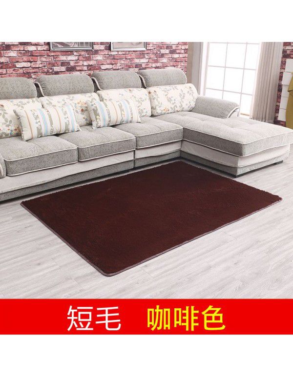 Thick washable silk wool blanket floor mat bedroom living room carpet floor mat float window mat splicing carpet